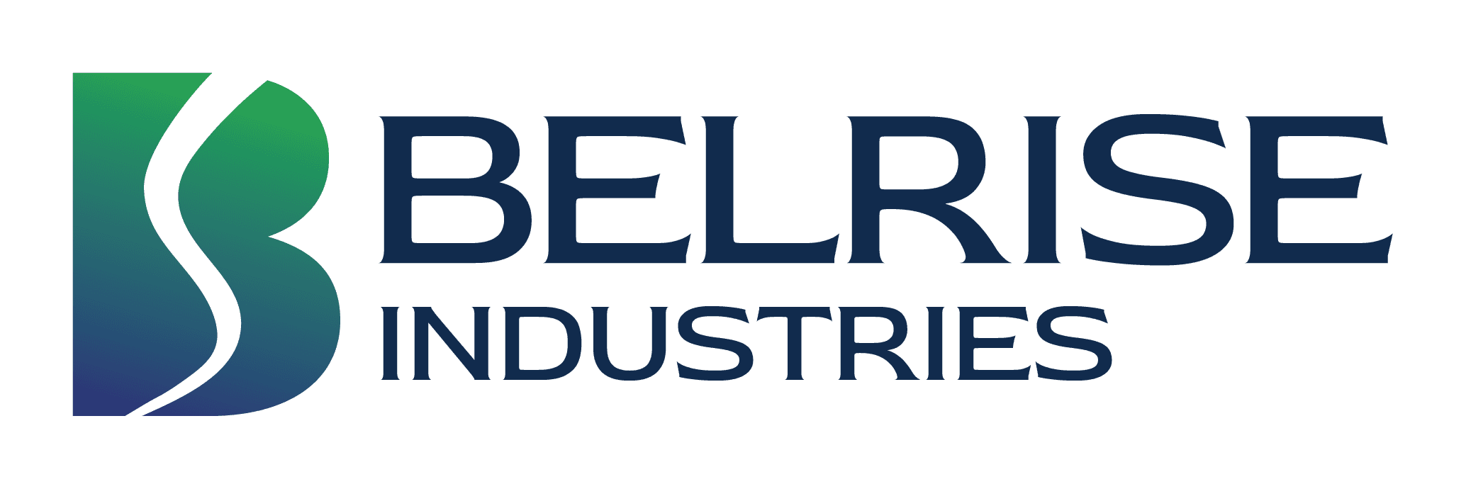 Belrise Industries Limited IPO logo