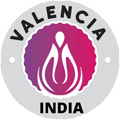 Valencia India Limited IPO logo